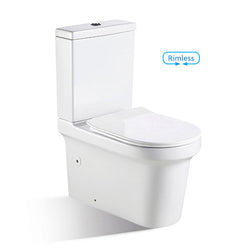 Toilet - BL-101N-TPT