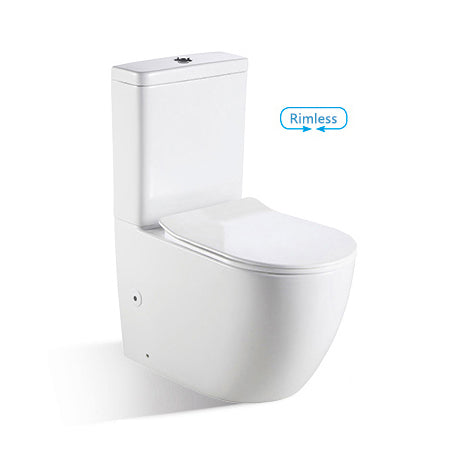 Toilet - BL-102N-TPT