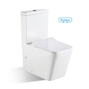 Toilet - BL-103N-TPT