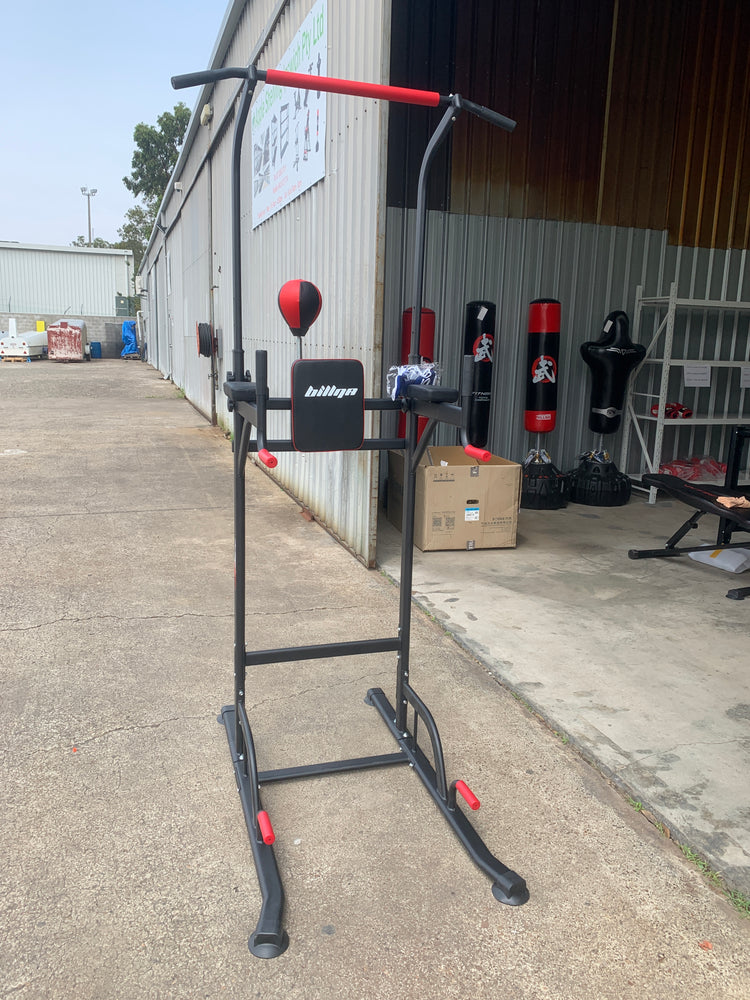 Workout Station - Pull up Bar with Speed Ball S2 Premium model